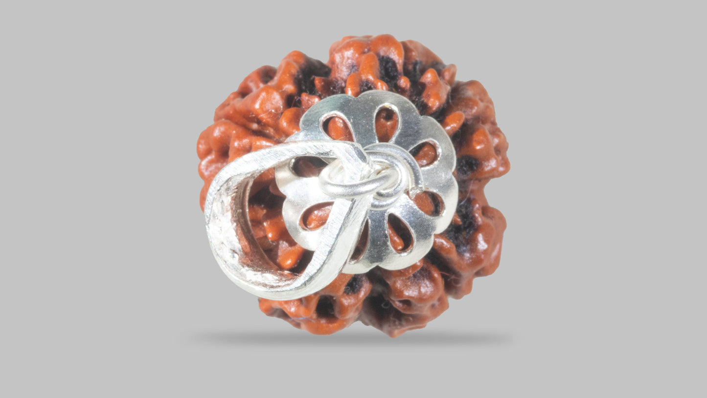 4 MUKHI RUDRAKSHA (18.80 mm)