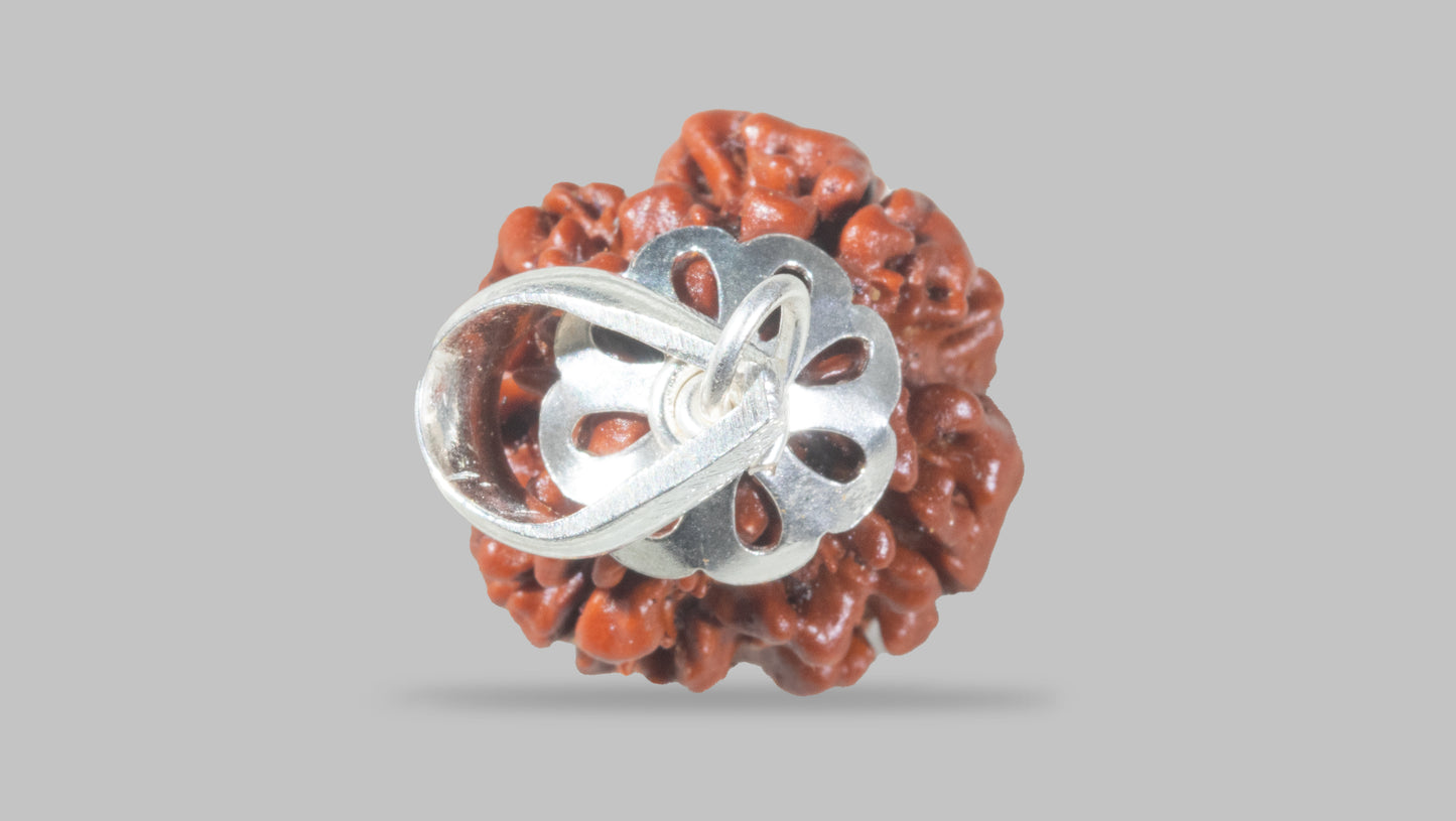 4 MUKHI RUDRAKSHA (18.00 mm)