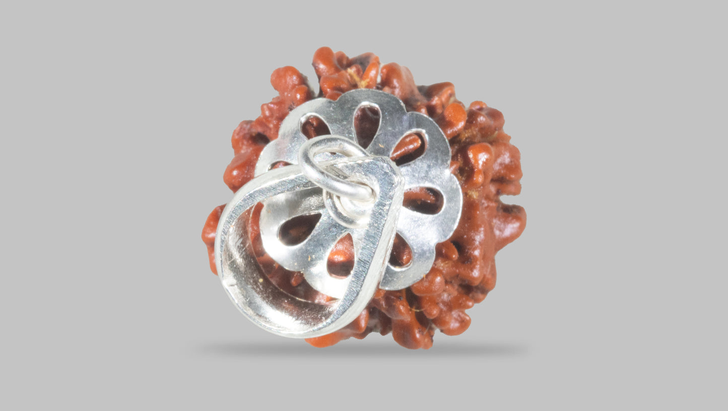 4 MUKHI RUDRAKSHA (17.36 mm)