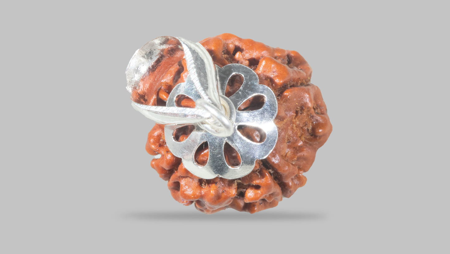 4 MUKHI RUDRAKSHA (17.30 mm)