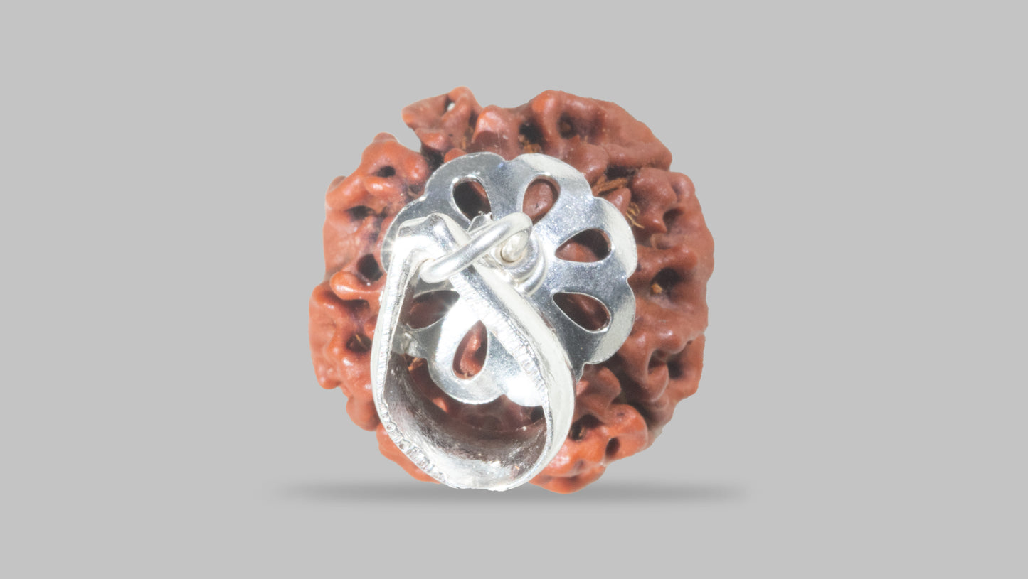 4 MUKHI RUDRAKSHA (17.87 mm)