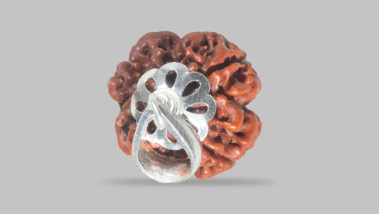 4 MUKHI RUDRAKSHA (19.95 mm)