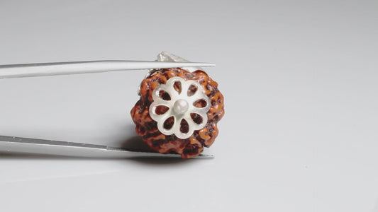 4 MUKHI RUDRAKSHA (18.51 mm)