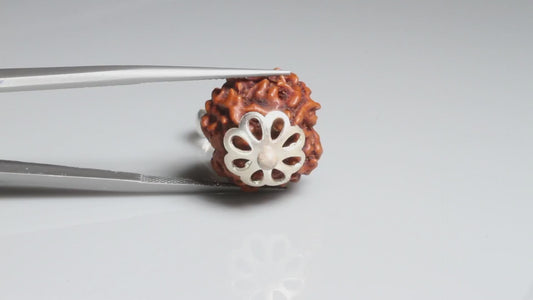 4 MUKHI RUDRAKSHA (18.57 mm)