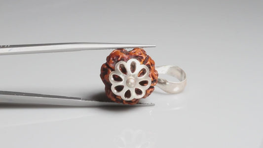 4 MUKHI RUDRAKSHA (18.01 mm)
