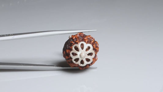 4 MUKHI RUDRAKSHA (19.51 mm)