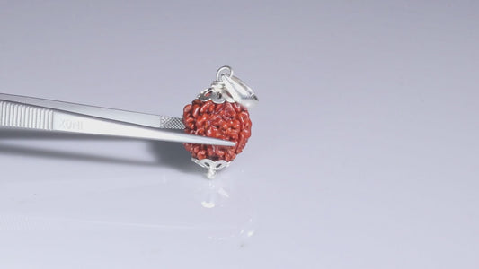 4 MUKHI RUDRAKSHA (18.00 mm)
