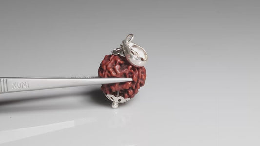 4 MUKHI RUDRAKSHA (19.05 mm)
