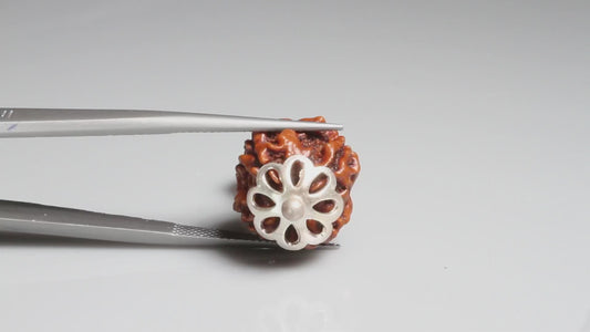 4 MUKHI RUDRAKSHA (18.40 mm)