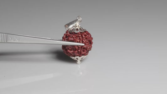 4 MUKHI RUDRAKSHA (17.65 mm)