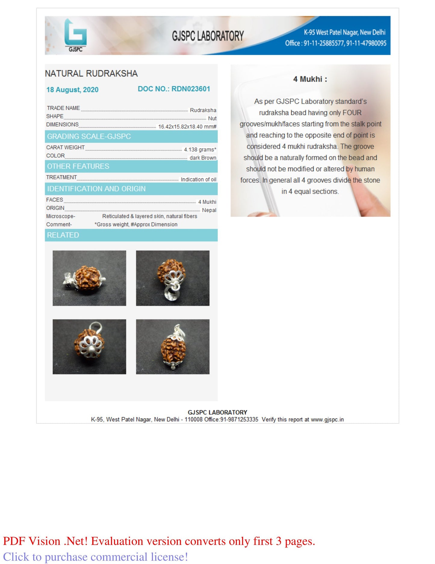 4 MUKHI RUDRAKSHA (18.40 mm)