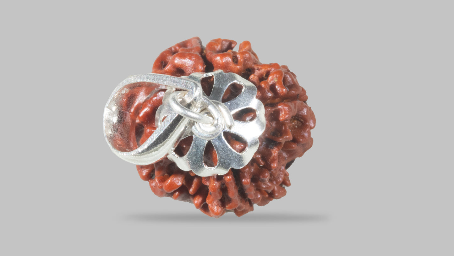 4 MUKHI RUDRAKSHA (18.85 mm)